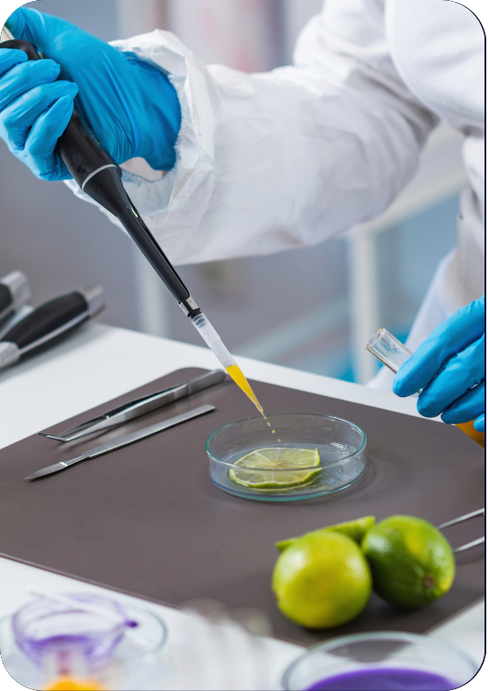 Listeria monocytogenes