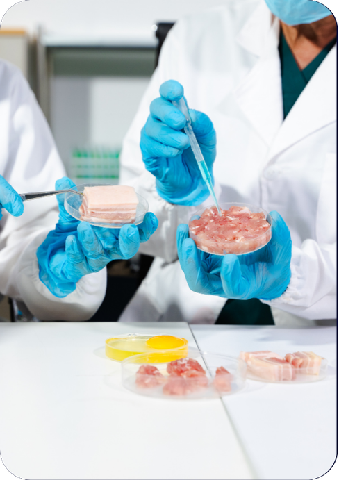 Salmonella spp